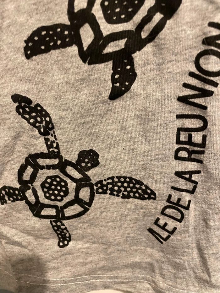 Tee shirt gris 4 ans , île de la réunion - photo numéro 3