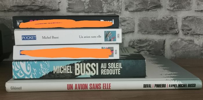 Un avion sans elle BD + roman - photo numéro 3