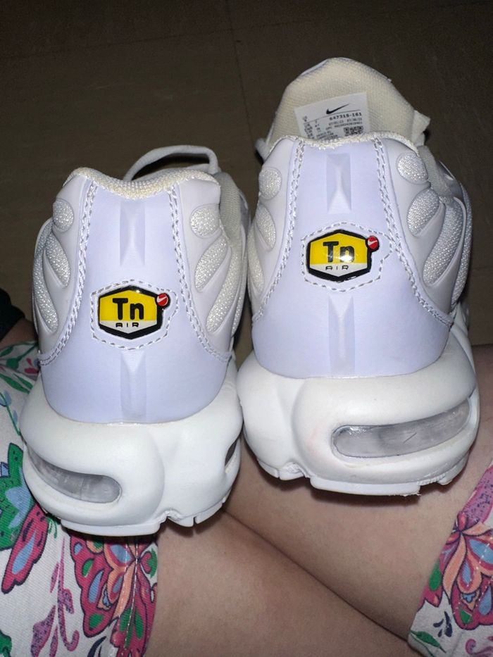 Imitation TN requin - photo numéro 2