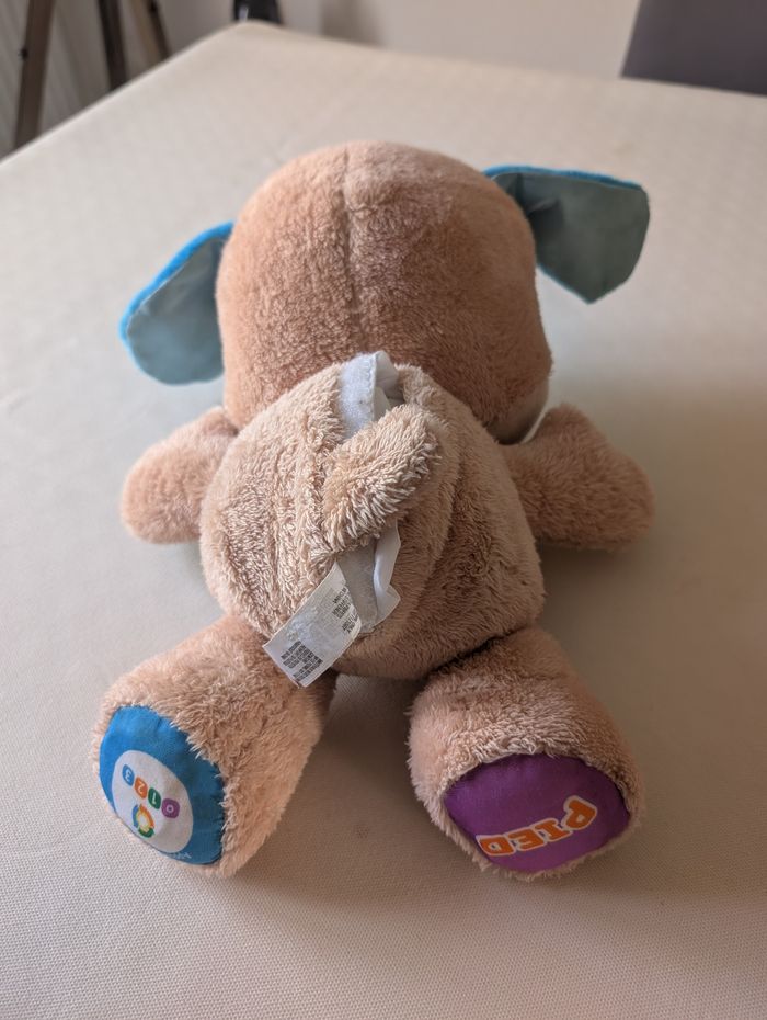 Ourson - photo numéro 5