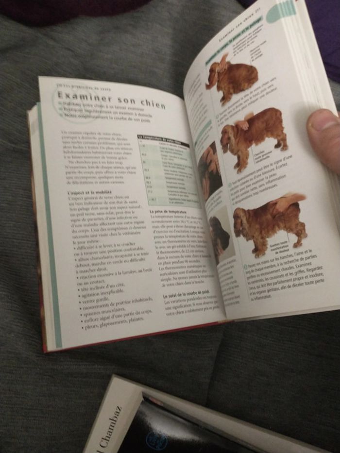 Le guide de référence du chien par docteur Bruce folge - photo numéro 11