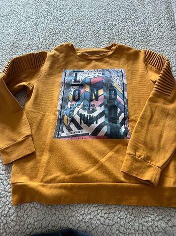 Pull moltonné