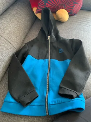 Sweat-shirt à capuche zip