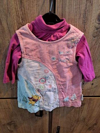 Robe disney et sous pull rose 12 mois