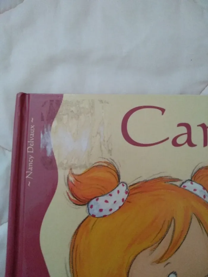 Livre Camille a fait pipi dans sa culotte - photo numéro 2
