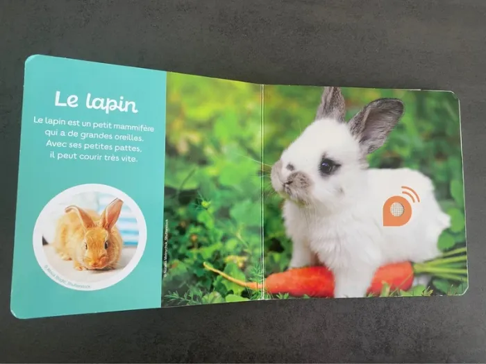 Livre sonore « Les animaux de compagnie » Auzou - photo numéro 9