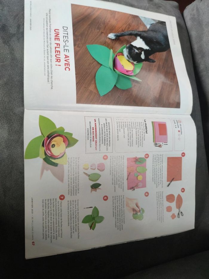 Magazine 30 millions d'amis numéro 391 janvier 2021 - photo numéro 14