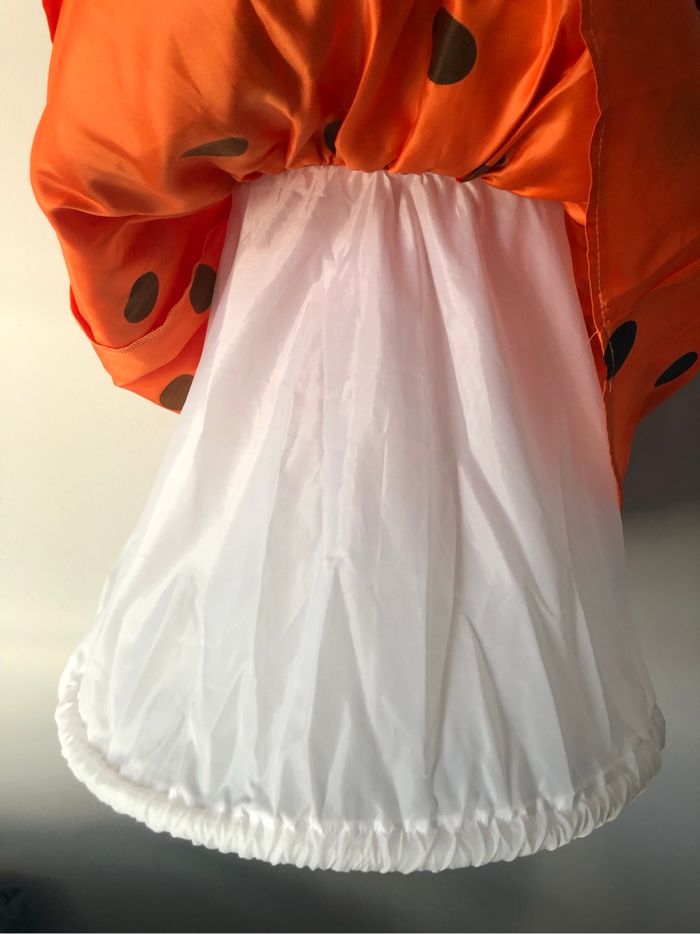 Minnie Halloween - photo numéro 3