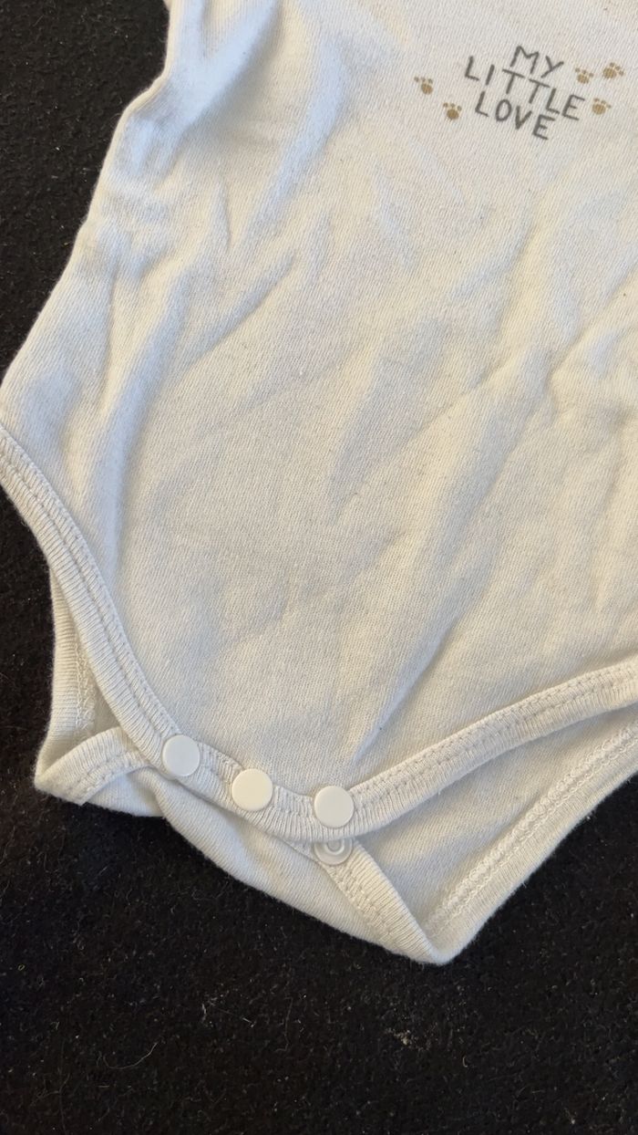 Bodie 3 mois - photo numéro 2