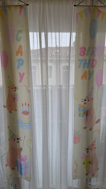 Bannière anniversaire Capybara