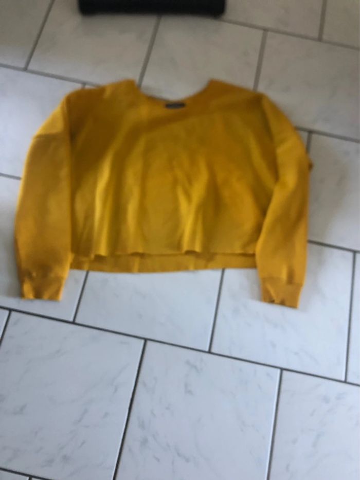 Pull court - photo numéro 5