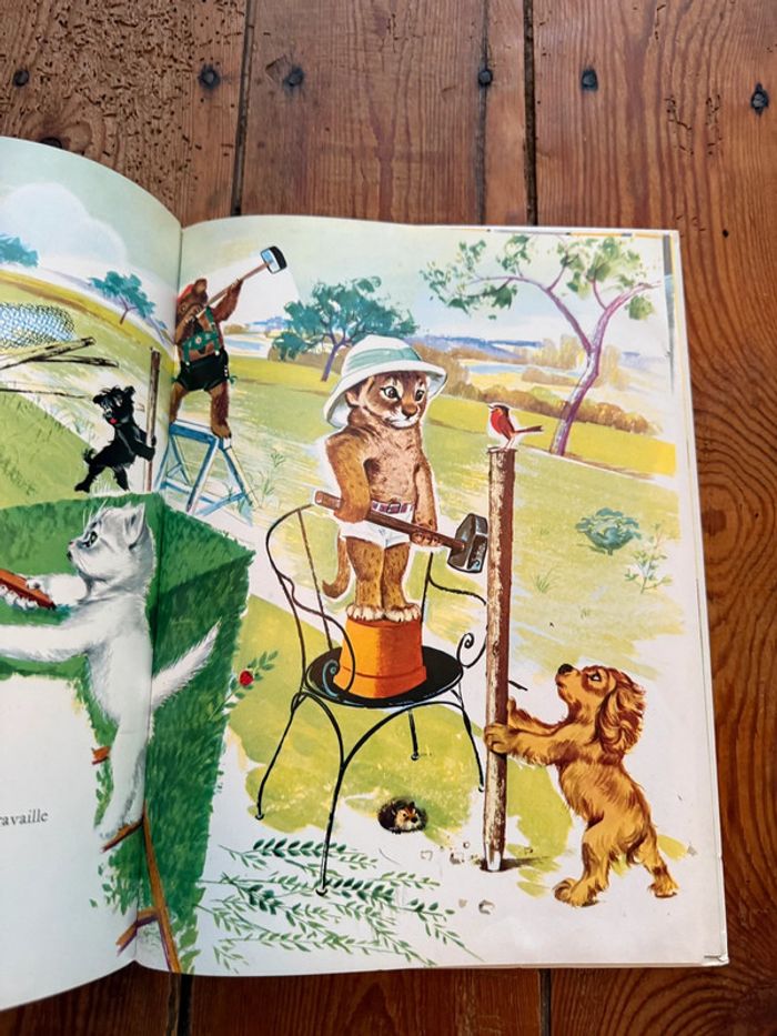 Bleu Grands albums Hachette livre rare ancien blanc Caroline et sa Maison Pierre Probst - photo numéro 6