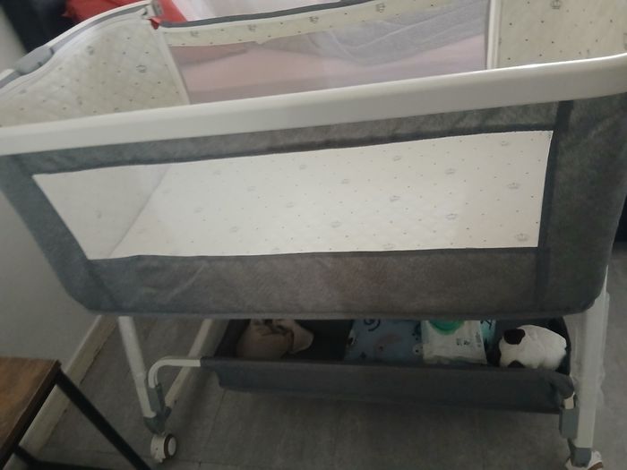 Cododo - photo numéro 2