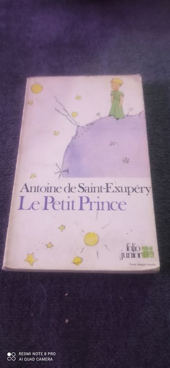 Livre le Petit Prince