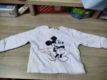 Sweat Mickey