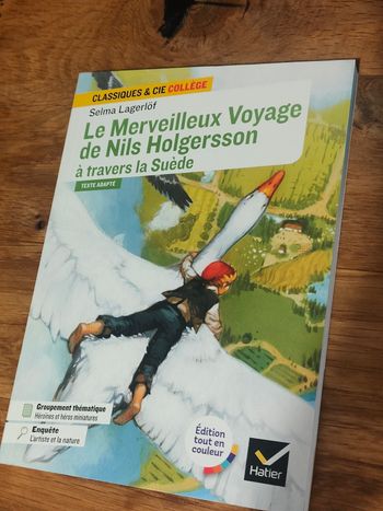 Le Merveilleux Voyage de Nils Holgersson à travers la Suède de Selma Lagerlöf