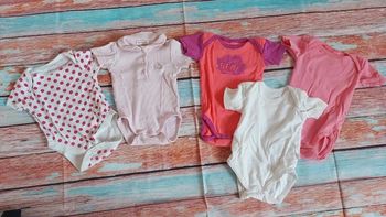 Lot de 5 bodies manches courtes fille 6 mois
