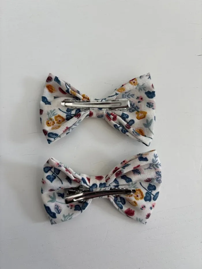 Barrettes - photo numéro 2