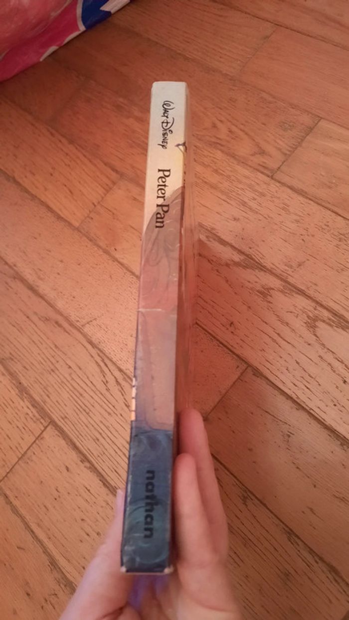 Péter Pan - photo numéro 6