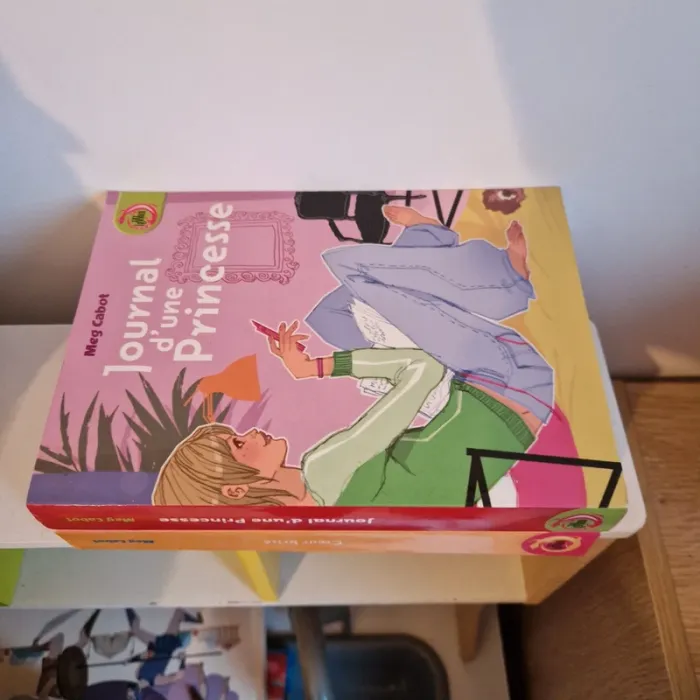 Livre journal d'une princesse - photo numéro 5