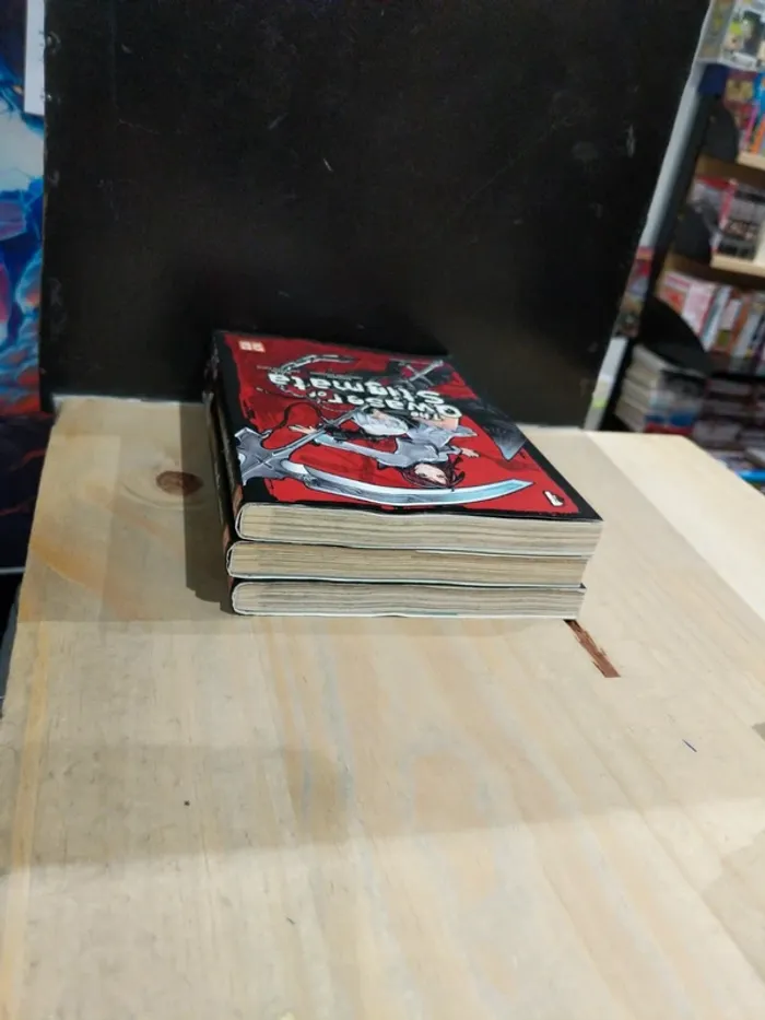 The Qwaser of Stigmata – Tomes 1 à 3 - photo numéro 4