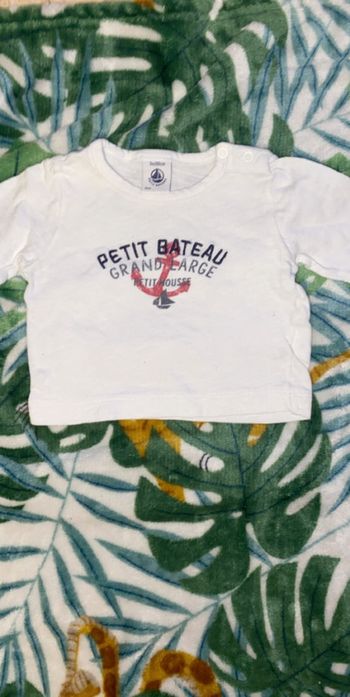 Teeshirt petit bateau
