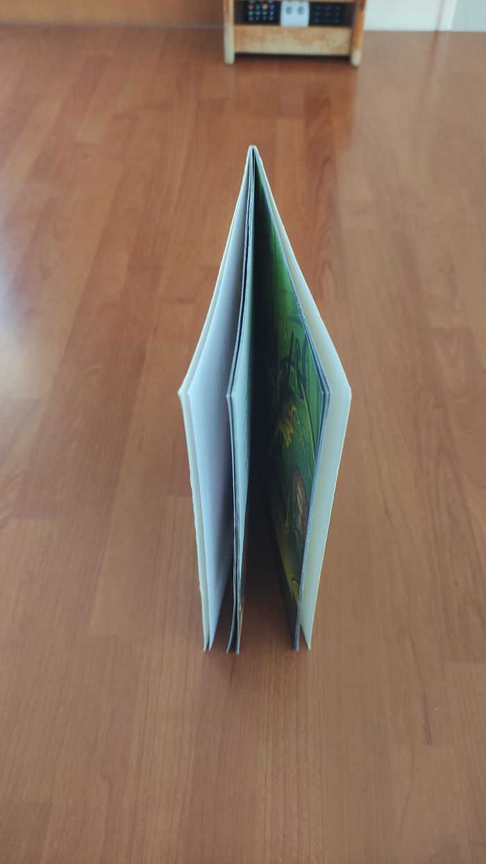 Livre Disney Pixar Rebelle - photo numéro 3