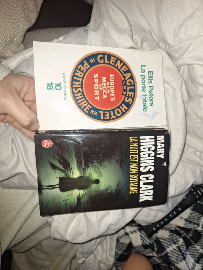 Lot 2 livres policier