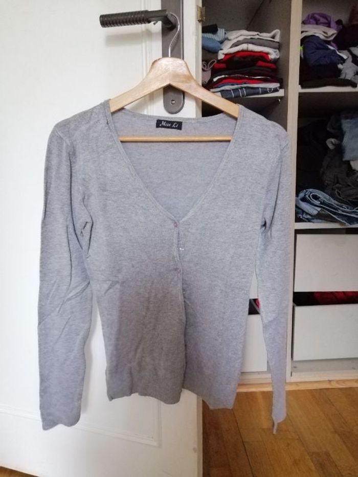 Gilet fin gris Miss li