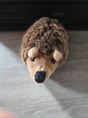 Peluche hérisson 22 cm