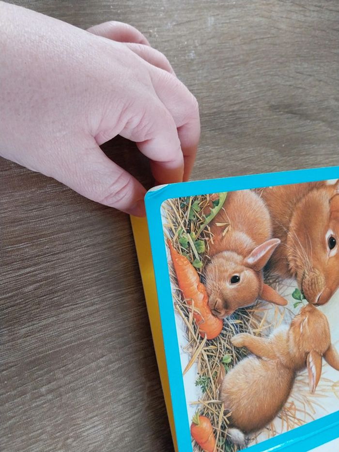 L'imagier des bébés animaux - photo numéro 4