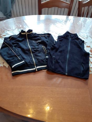 Vestes