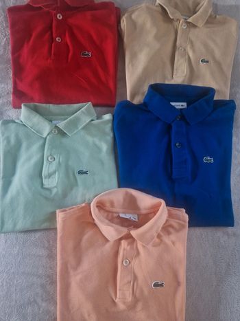 Lot 5 polos garçon 12ans Lacoste