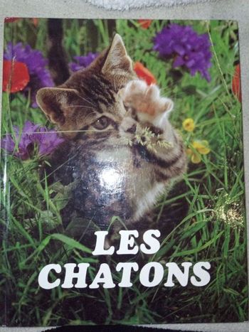 Grand livre sur les chatons
