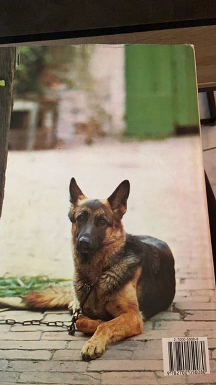 La passion des chiens - photo numéro 2