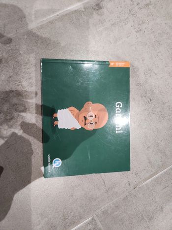 Livre : Gandhi