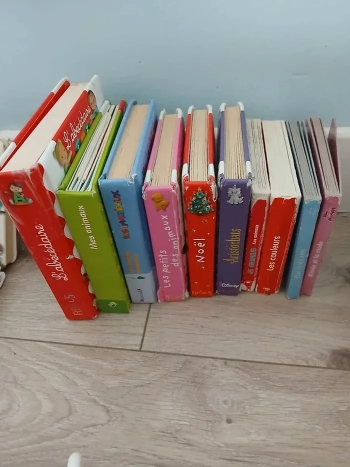 Lot livre premier age - photo numéro 3