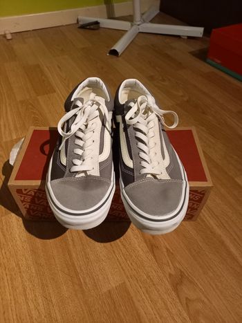 Basket Vans
