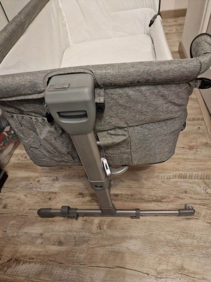 Cododo - photo numéro 5