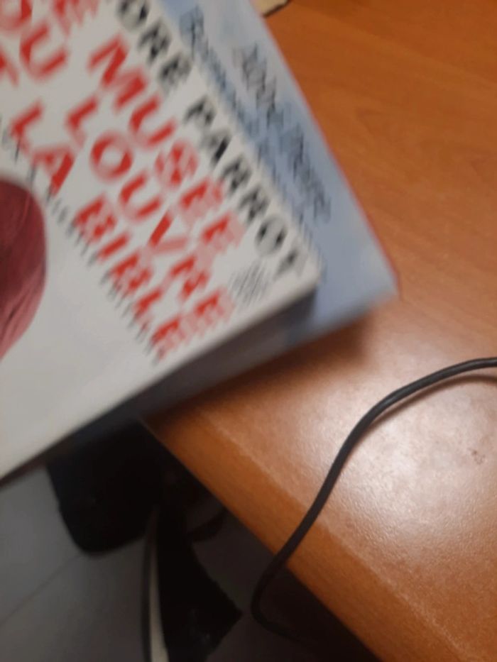 Lot 2 livres religion archéologie biblique - photo numéro 9