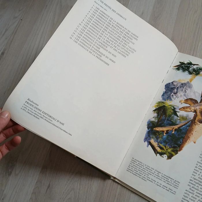 Livre préhistoire - photo numéro 5