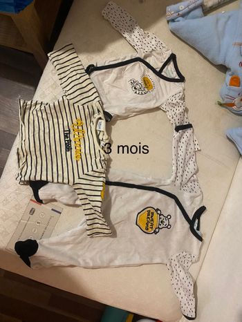 Lot Winnie l ourson .