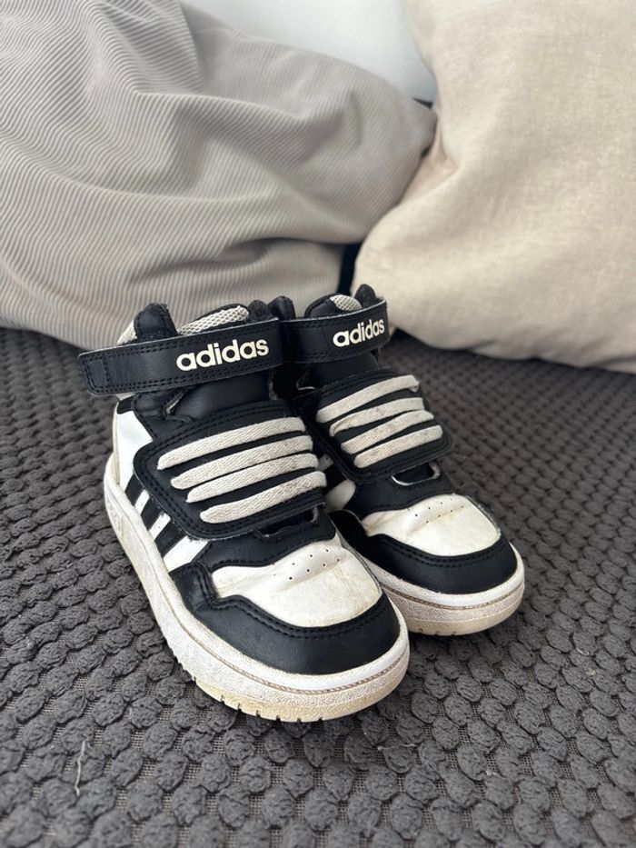 Baskets adidas montantes 25