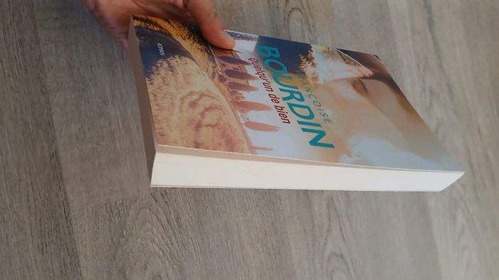 Roman quelqu'un de bien - photo numéro 3