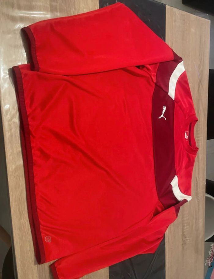 Pull puma XL