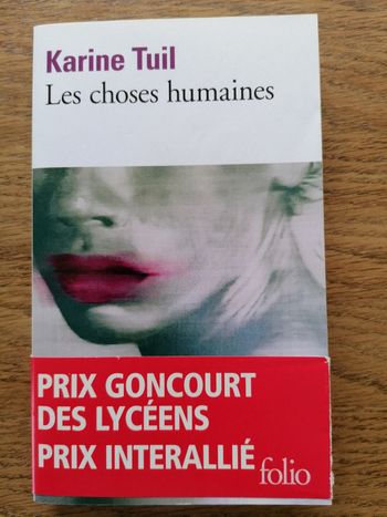 Les choses humaines de Karine Tuil