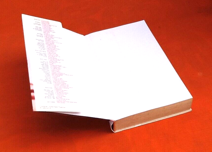 Laurent Joffrin La princesse oubliée (2005) - photo numéro 3