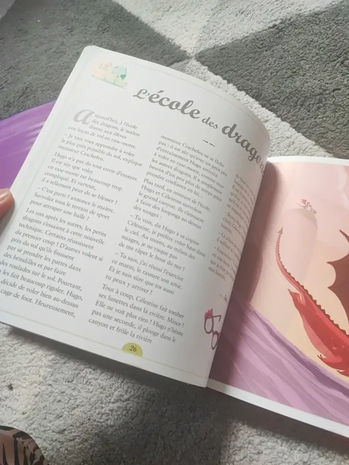 Livre 30 histoires de dragons - photo numéro 2