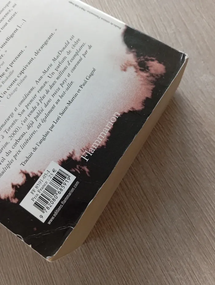 Livre Le Vol du Corbeau - photo numéro 6