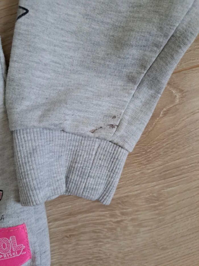 Sweat 7/8 ans - photo numéro 3